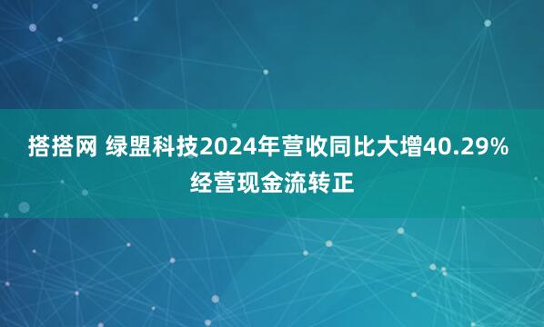搭搭网 绿盟科技2024年营收同比大增40.29% 经营现金流转正