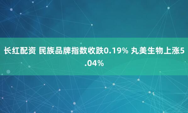 长红配资 民族品牌指数收跌0.19% 丸美生物上涨5.04%