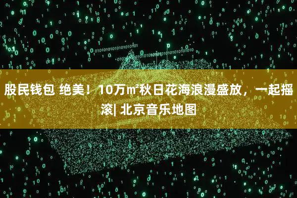 股民钱包 绝美！10万㎡秋日花海浪漫盛放，一起摇滚| 北京音乐地图