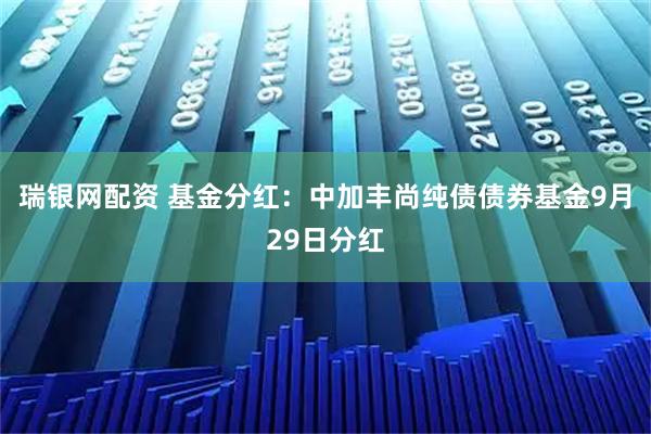 瑞银网配资 基金分红：中加丰尚纯债债券基金9月29日分红