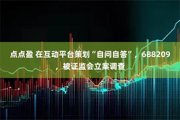 点点盈 在互动平台策划“自问自答”，688209，被证监会立案调查