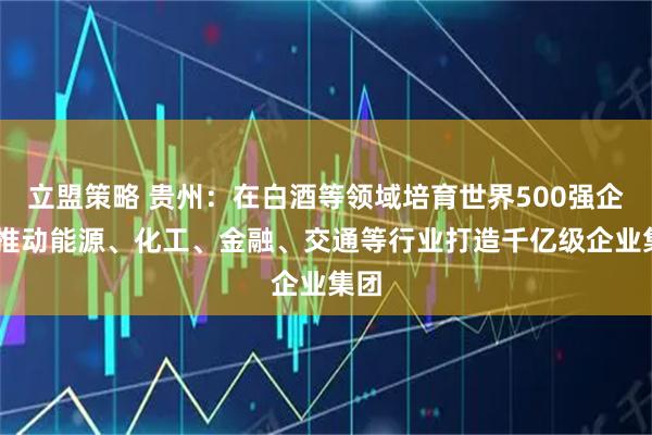 立盟策略 贵州：在白酒等领域培育世界500强企业 推动能源、化工、金融、交通等行业打造千亿级企业集团