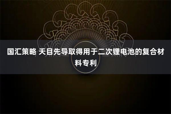 国汇策略 天目先导取得用于二次锂电池的复合材料专利