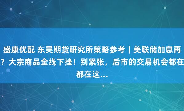 盛康优配 东吴期货研究所策略参考｜美联储加息再生变？大宗商品全线下挫！别紧张，后市的交易机会都在这...
